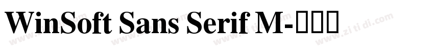 WinSoft Sans Serif M字体转换
